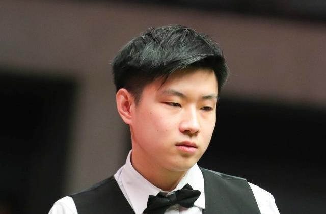 药材如灵芝 药材如灵芝