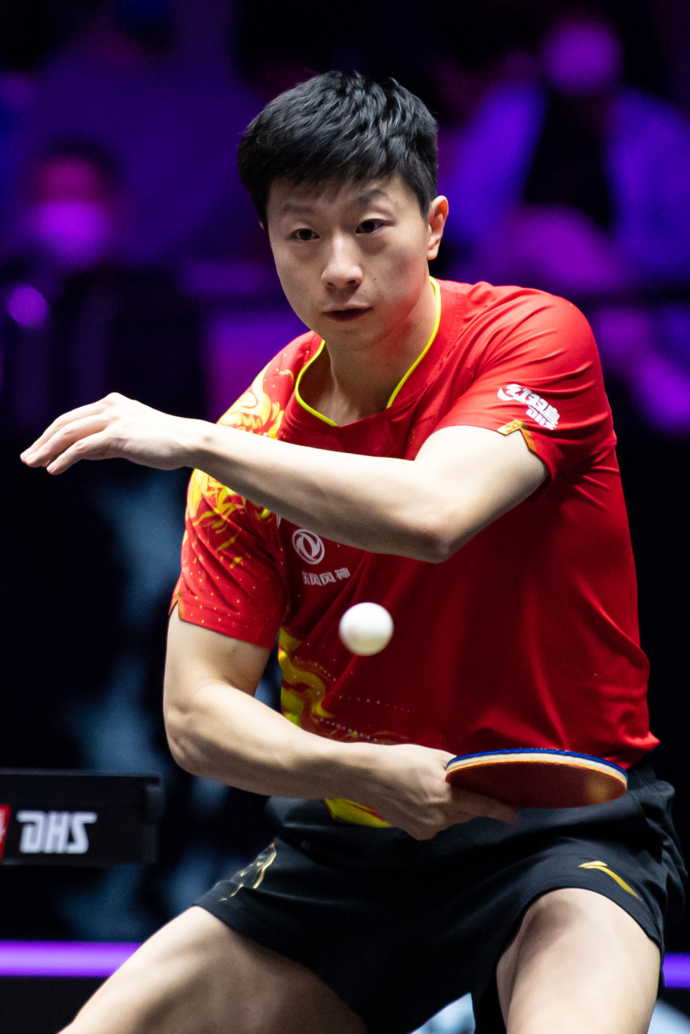 上海则在阵 上海则在阵